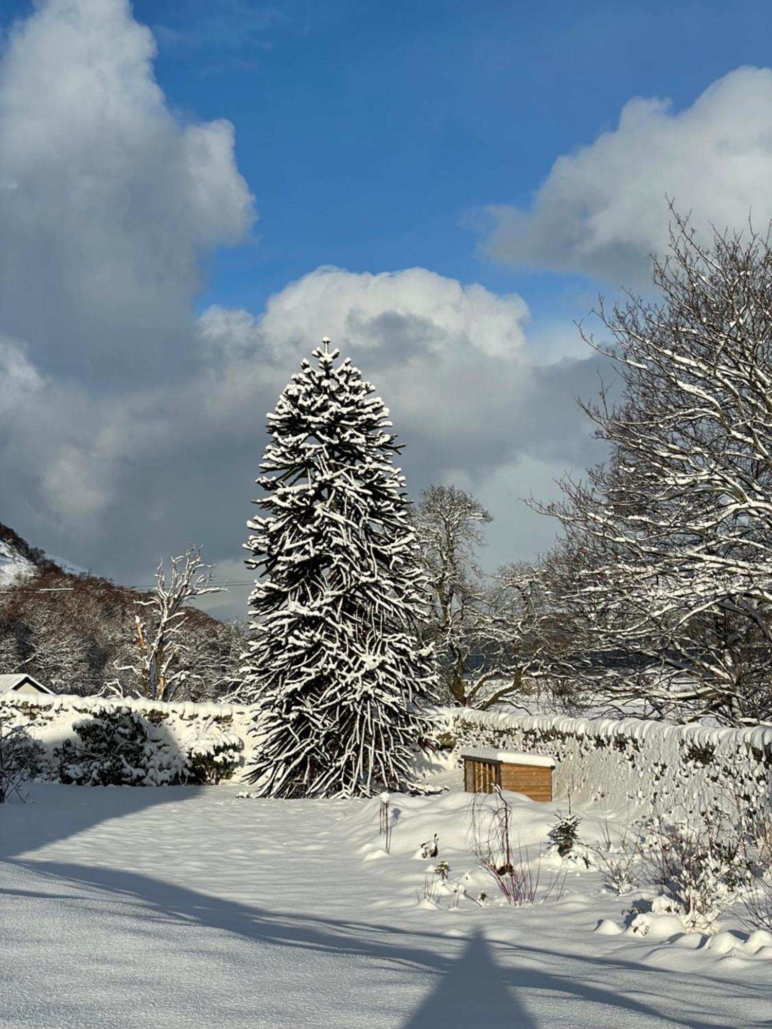 Clachan Garden B&B กราฟ ภายนอก รูปภาพ